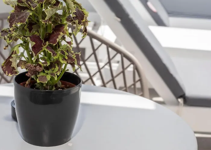 Petra Aqua (adults Only)