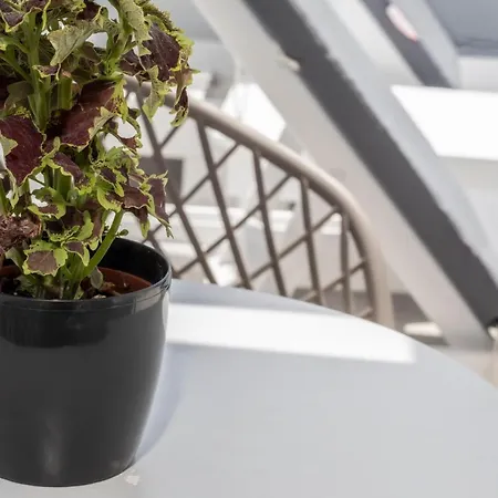 Petra Aqua (adults Only)